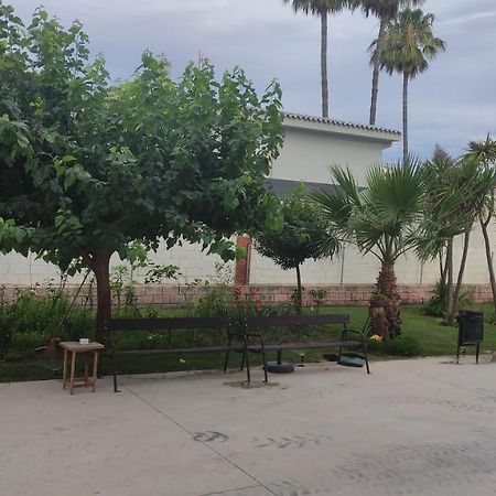 Apartamento Con Piscina Y Cerca De La Playa Διαμέρισμα Benicàssim Εξωτερικό φωτογραφία